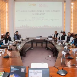 Mahratta 2 Mahratta 2